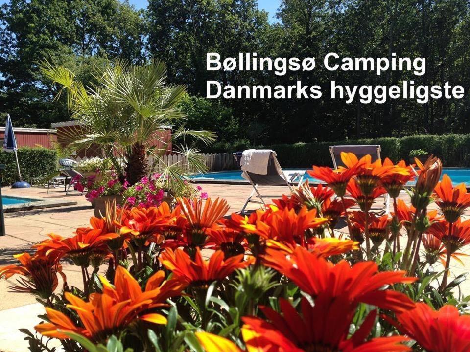 Bollingso Camping Engesvang Exteriér fotografie